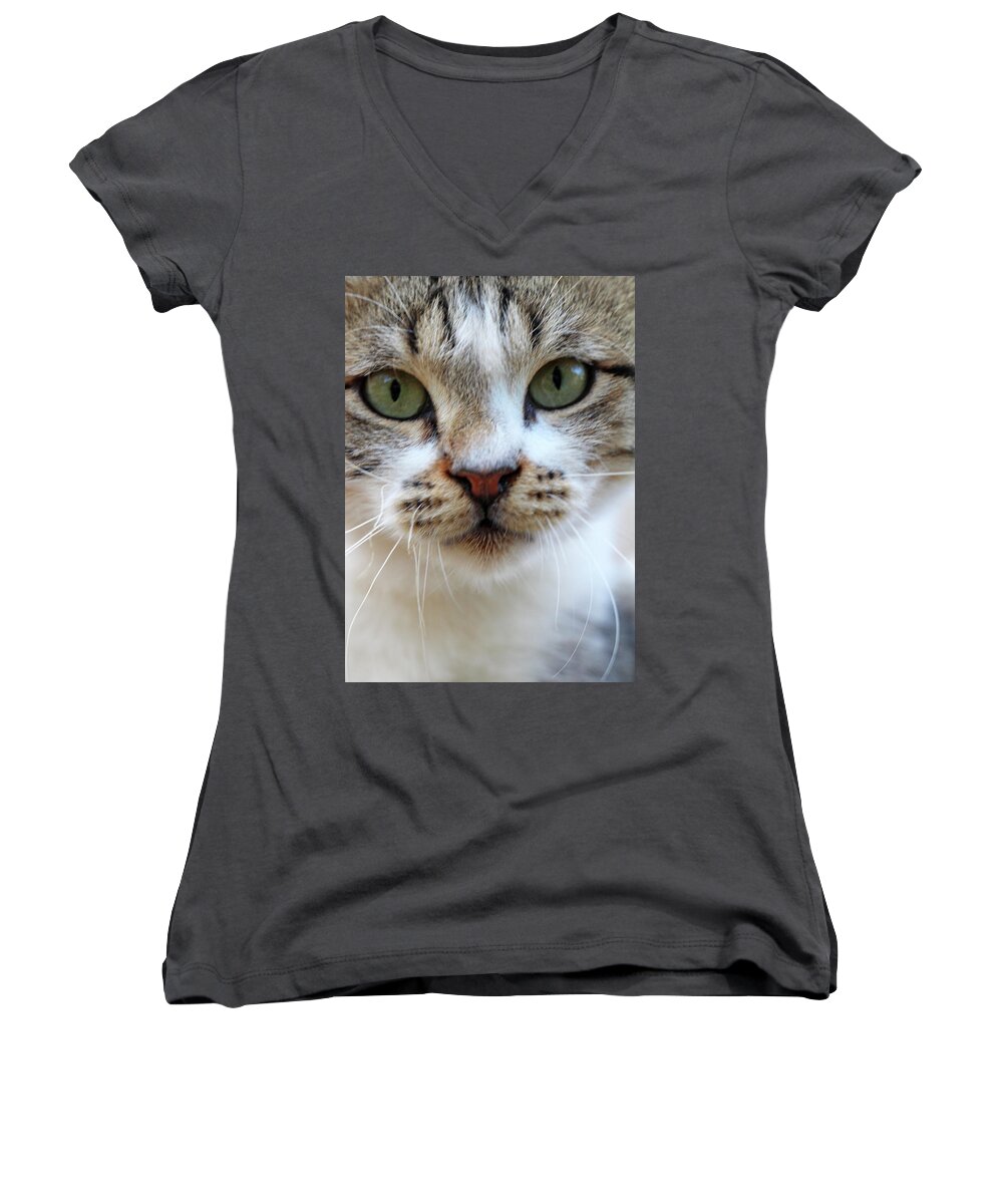 Cat Women's V-Neck featuring the photograph Big Green Eyes by Munir Alawi