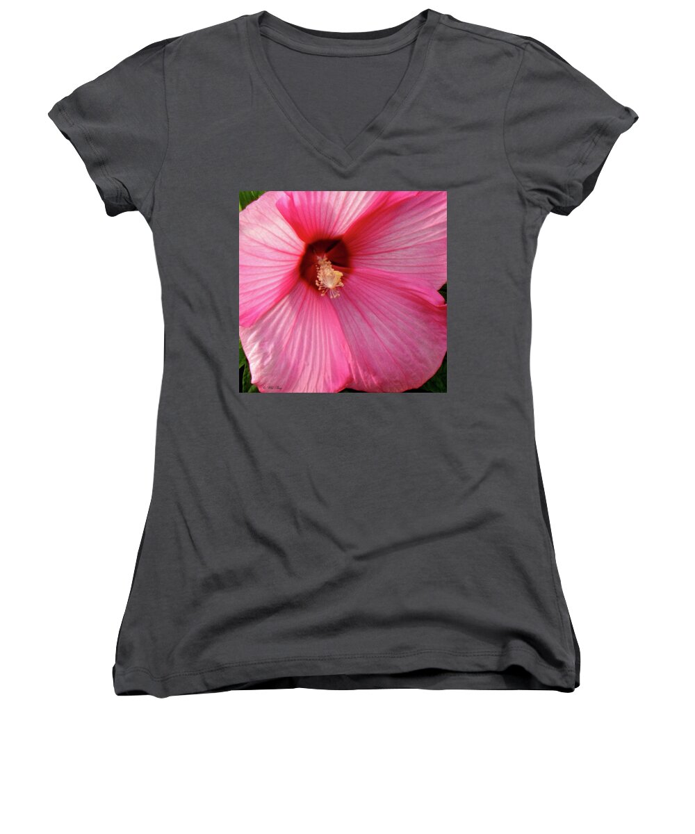 Hibiscus Women's V-Neck featuring the photograph Big Pink Love by Wild Thing