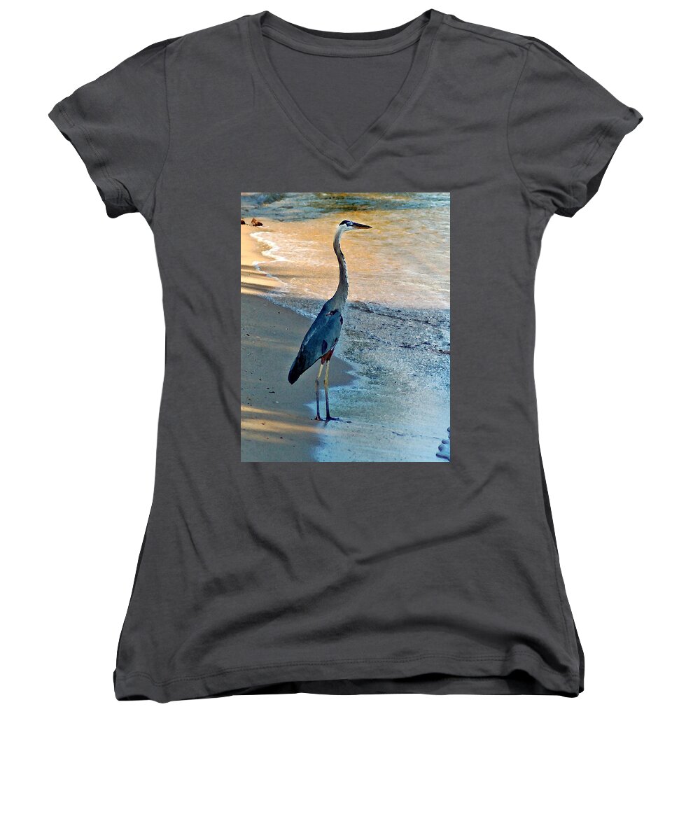  Women's V-Neck featuring the painting Blue Heron on the Beach Close up by Michael Thomas