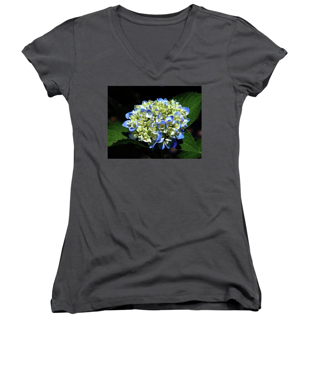 Blue Hydrangea Women's V-Neck featuring the photograph Blue Hydrangea Onstage 2620 H_2 by Steven Ward