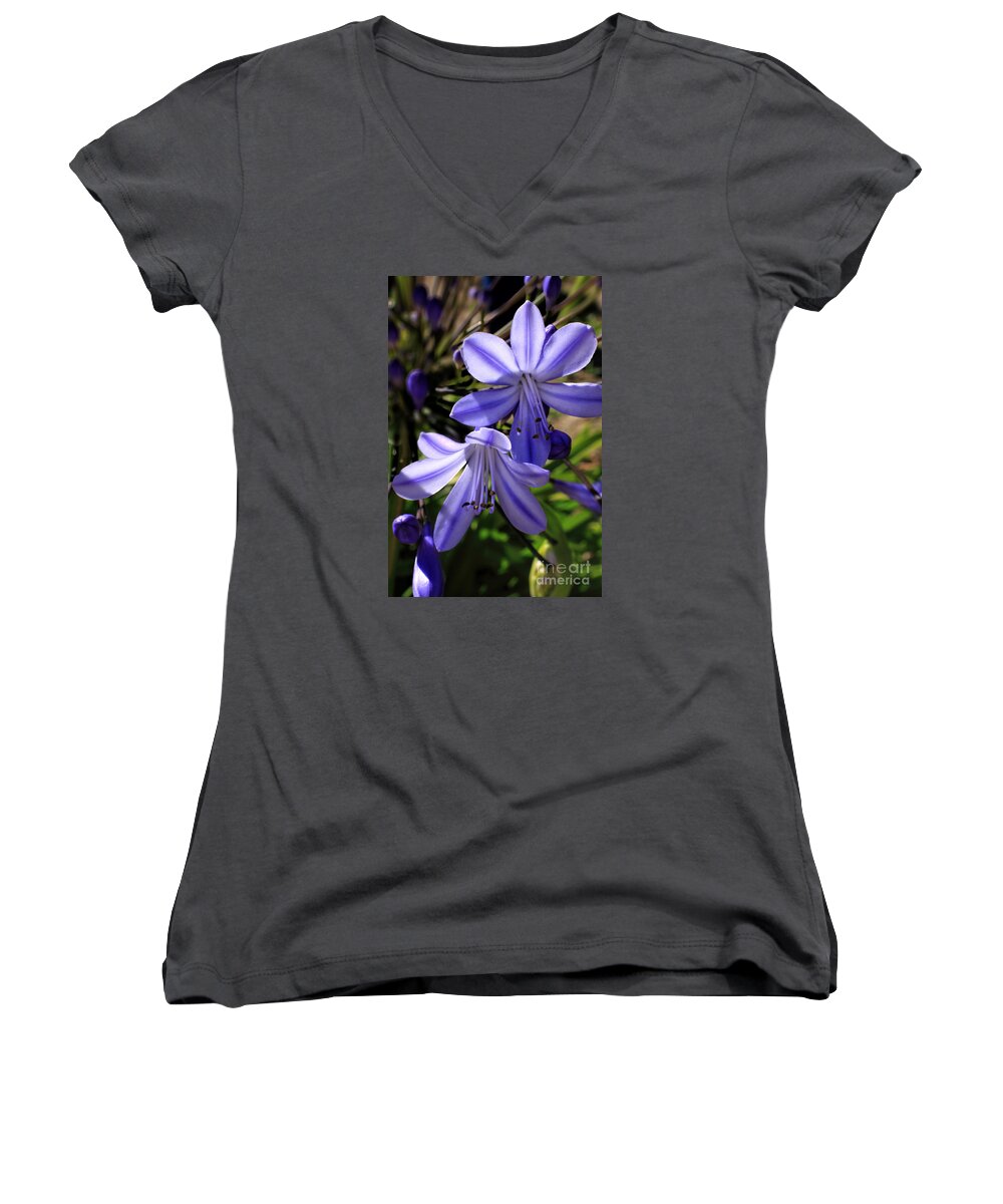African Blue Lily Women's V-Neck featuring the photograph Blue Lily by Richard Lynch