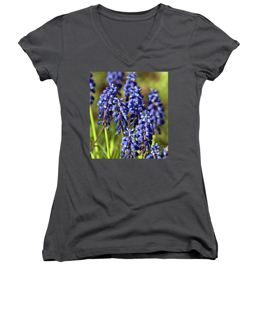 Blue Sound Of Spring Women's V-Neck featuring the photograph Blue Sound of Spring by Silva Wischeropp