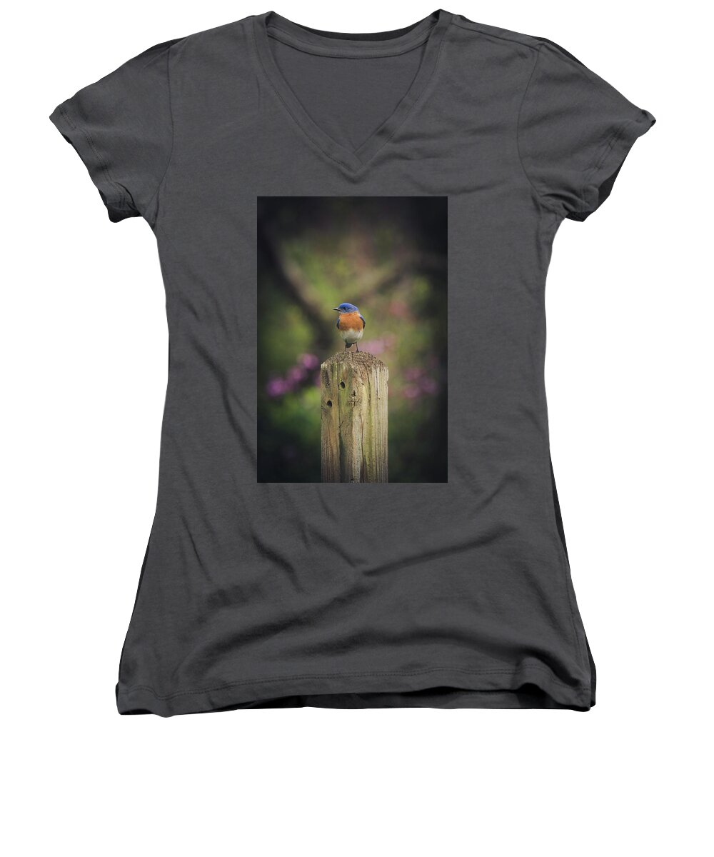 Bluebird Women's V-Neck featuring the photograph Blue with a bit of pink by Robert L Jackson