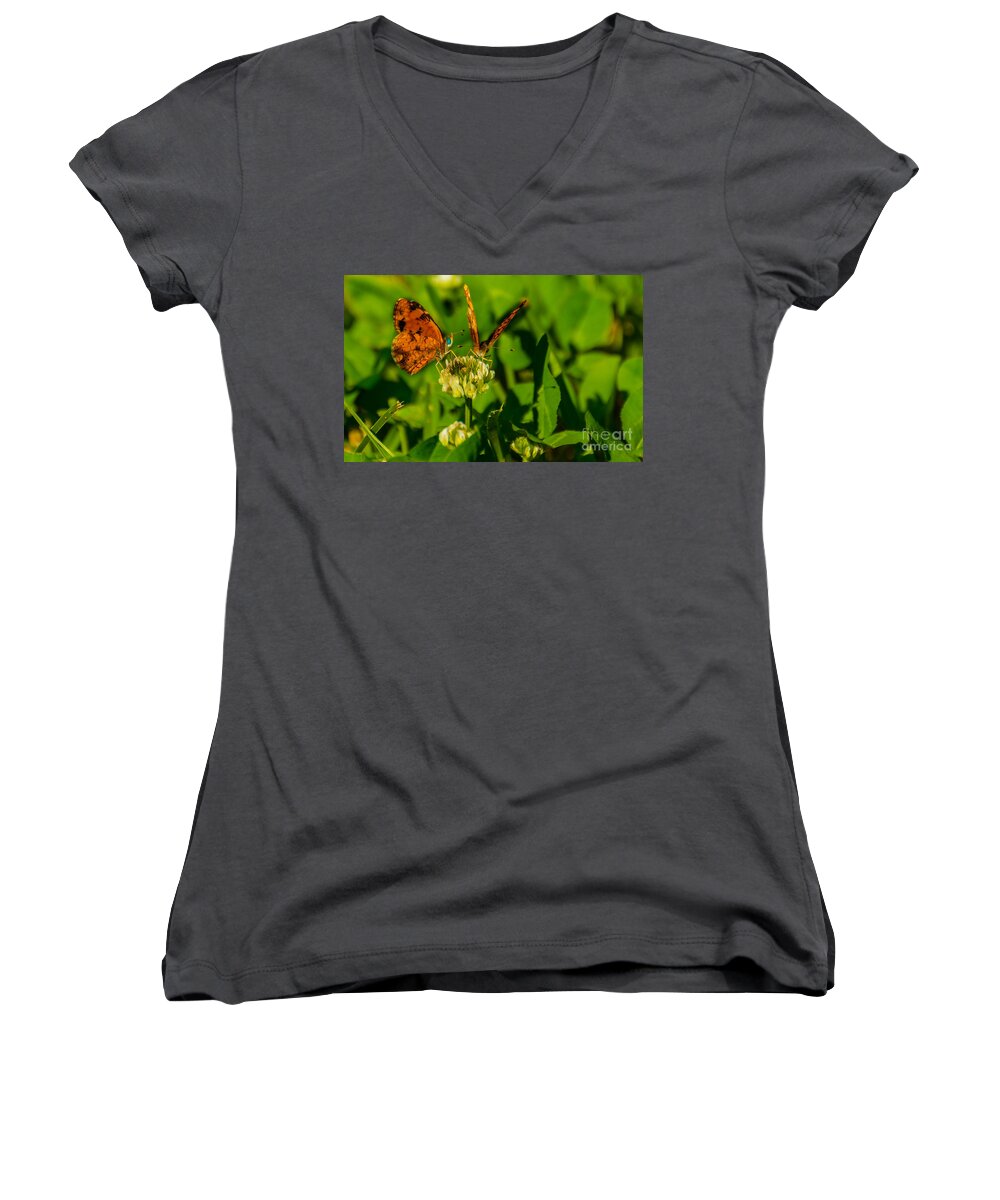 Butterfly Women's V-Neck featuring the photograph Bluehead Butterfly by Metaphor Photo