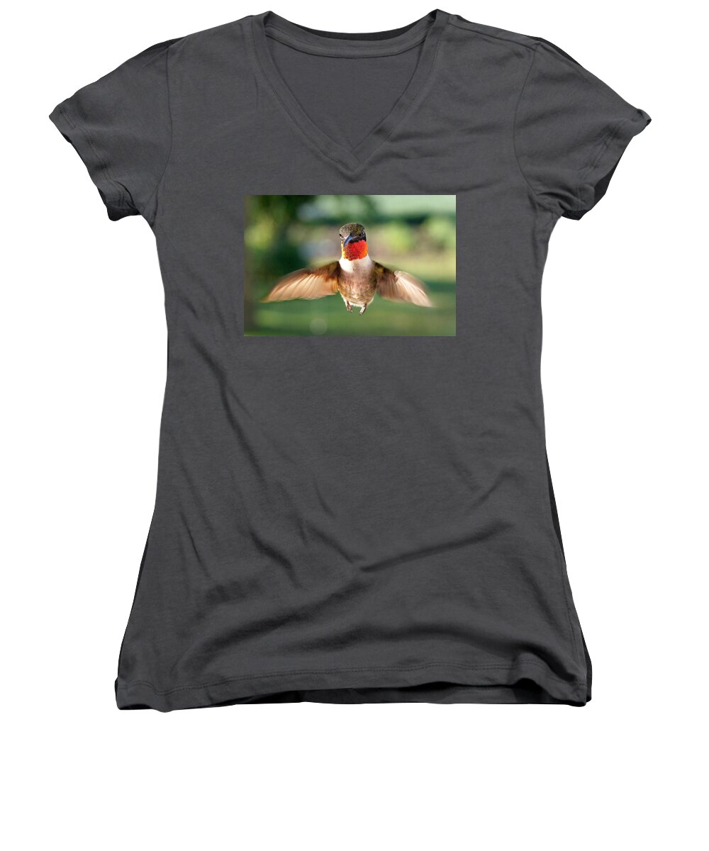 Bird Women's V-Neck featuring the photograph Boastful by Bill Pevlor