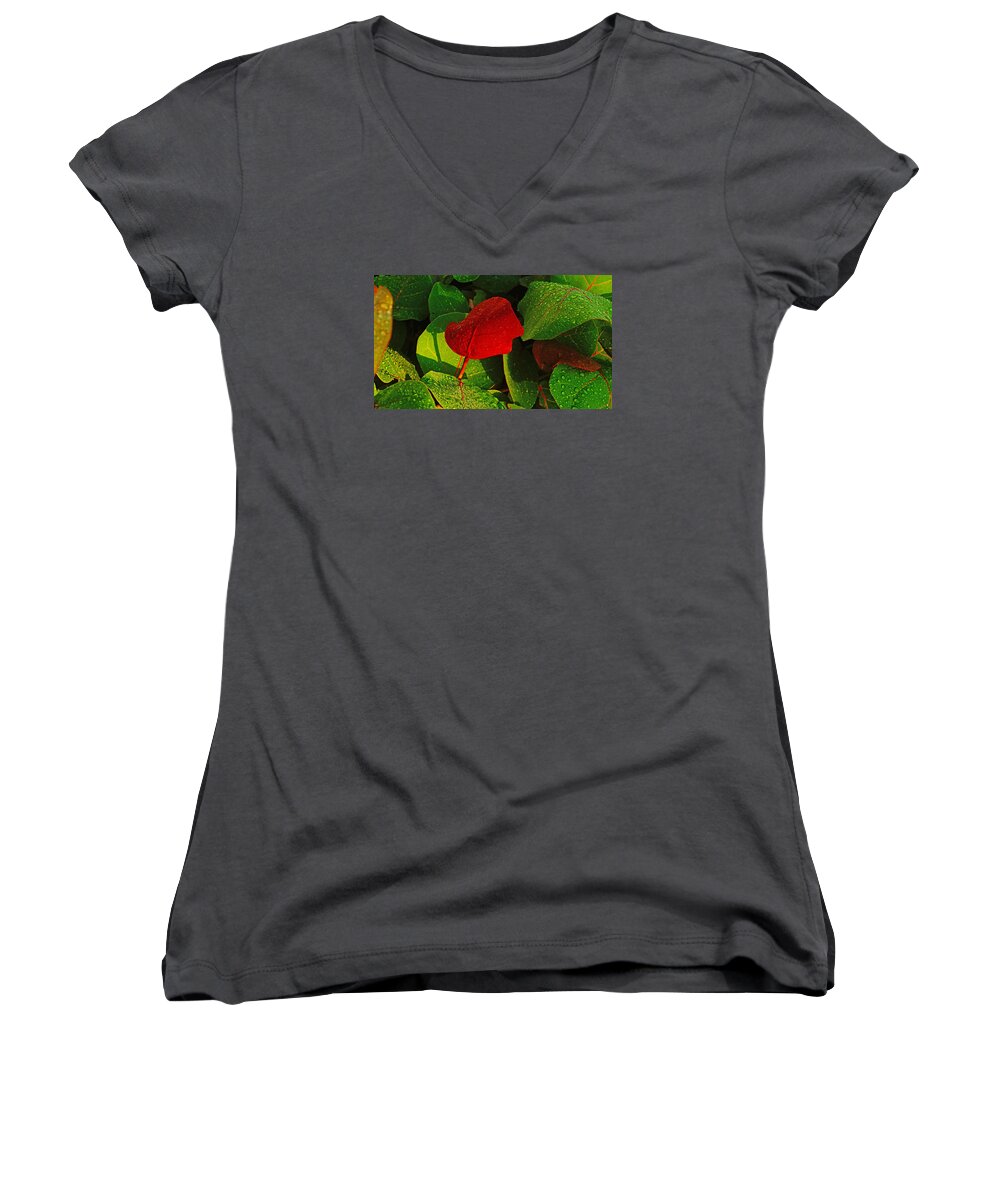 Plant Women's V-Neck featuring the photograph Bold Red Sea Grape Leaf by Lawrence S Richardson Jr