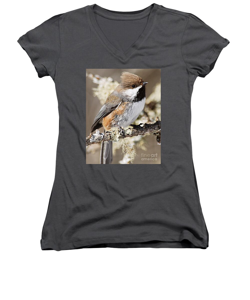 Photography Women's V-Neck featuring the photograph Boreal Chickadee by Larry Ricker