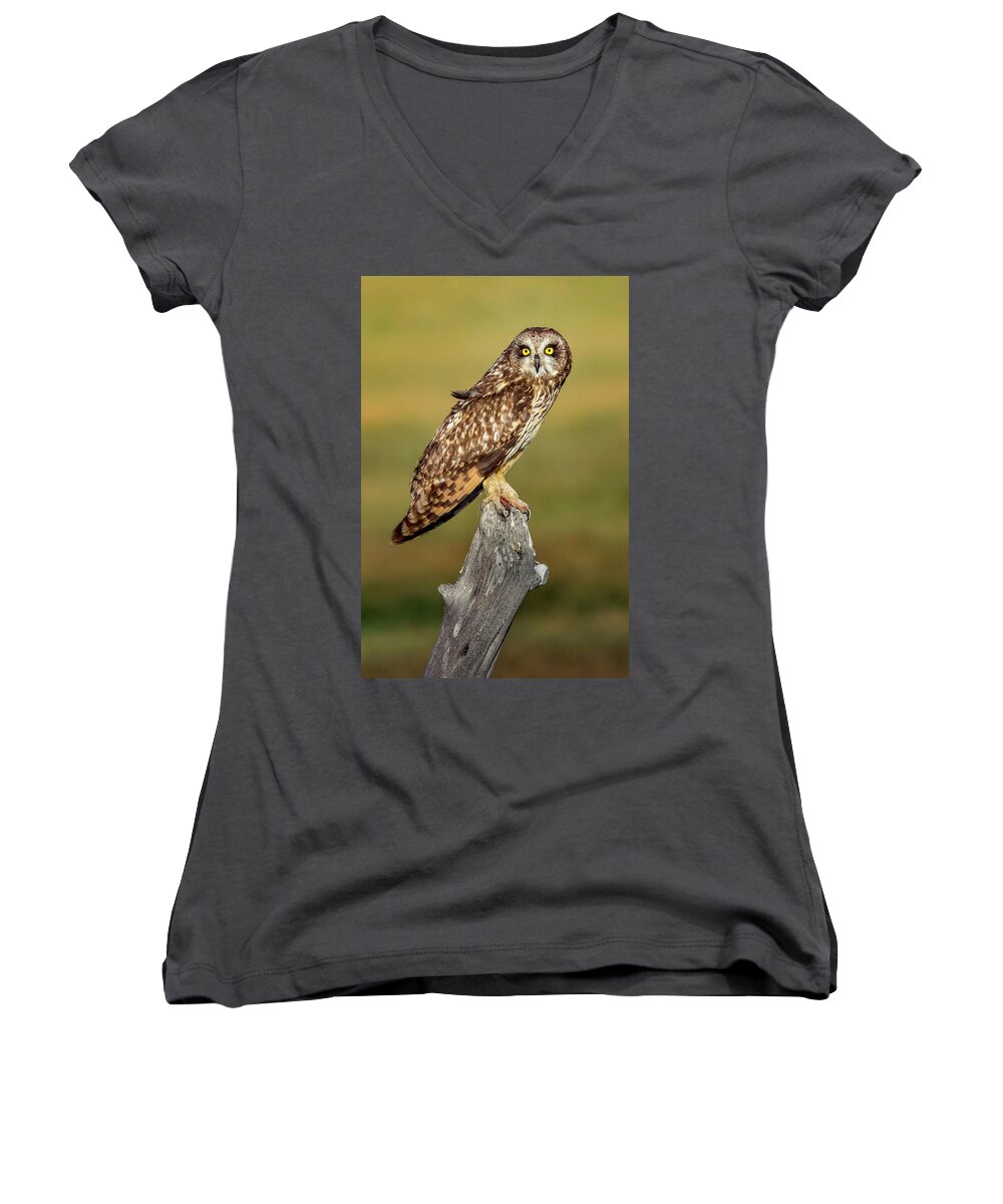 Owl Women's V-Neck featuring the photograph Bright-eyed Owl by Michael Ash