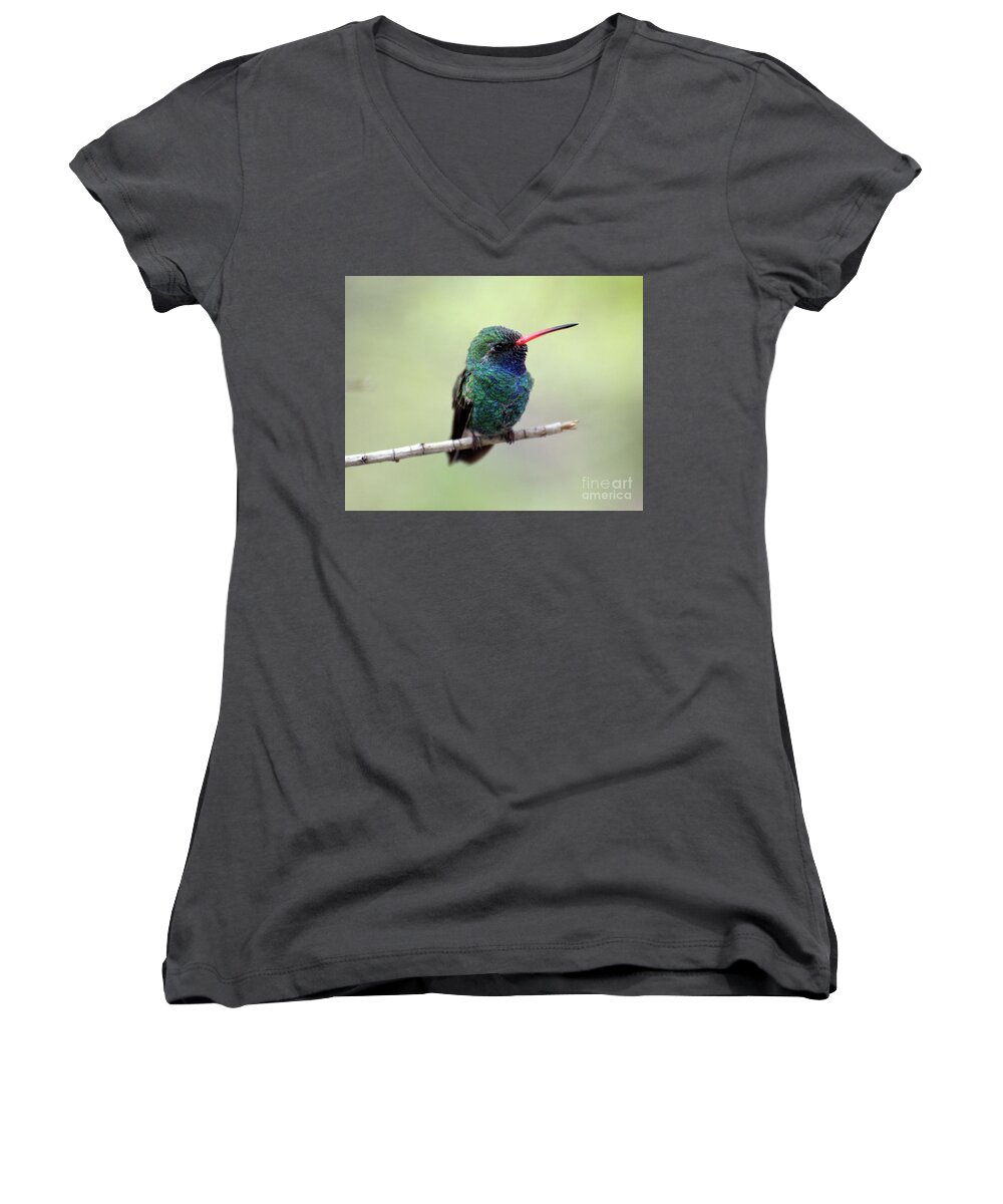 Denise Bruchman Women's V-Neck featuring the photograph Broad-billed Hummingbird Portrait by Denise Bruchman