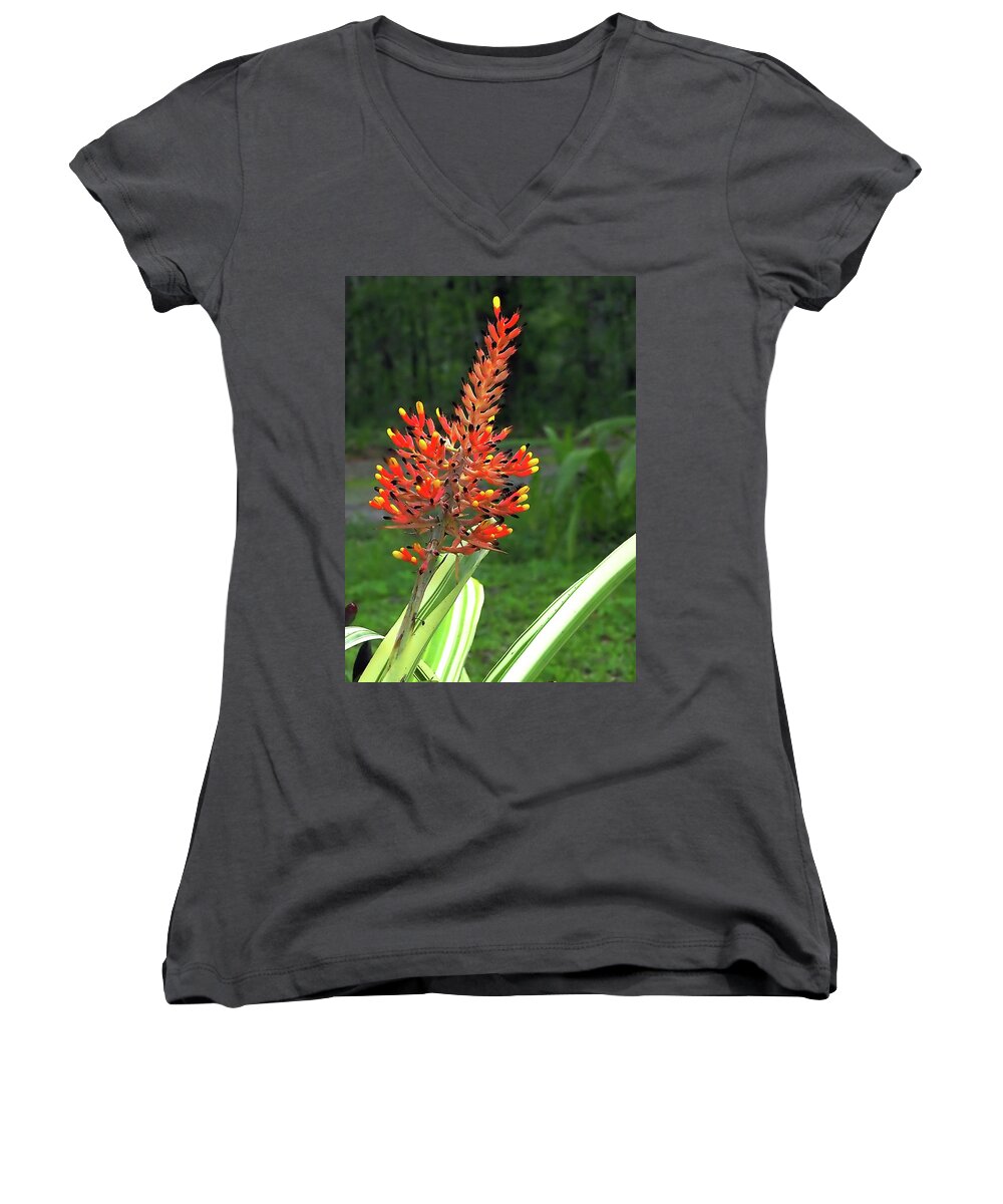 Bromeliad Women's V-Neck featuring the photograph Bromeliad by Farol Tomson