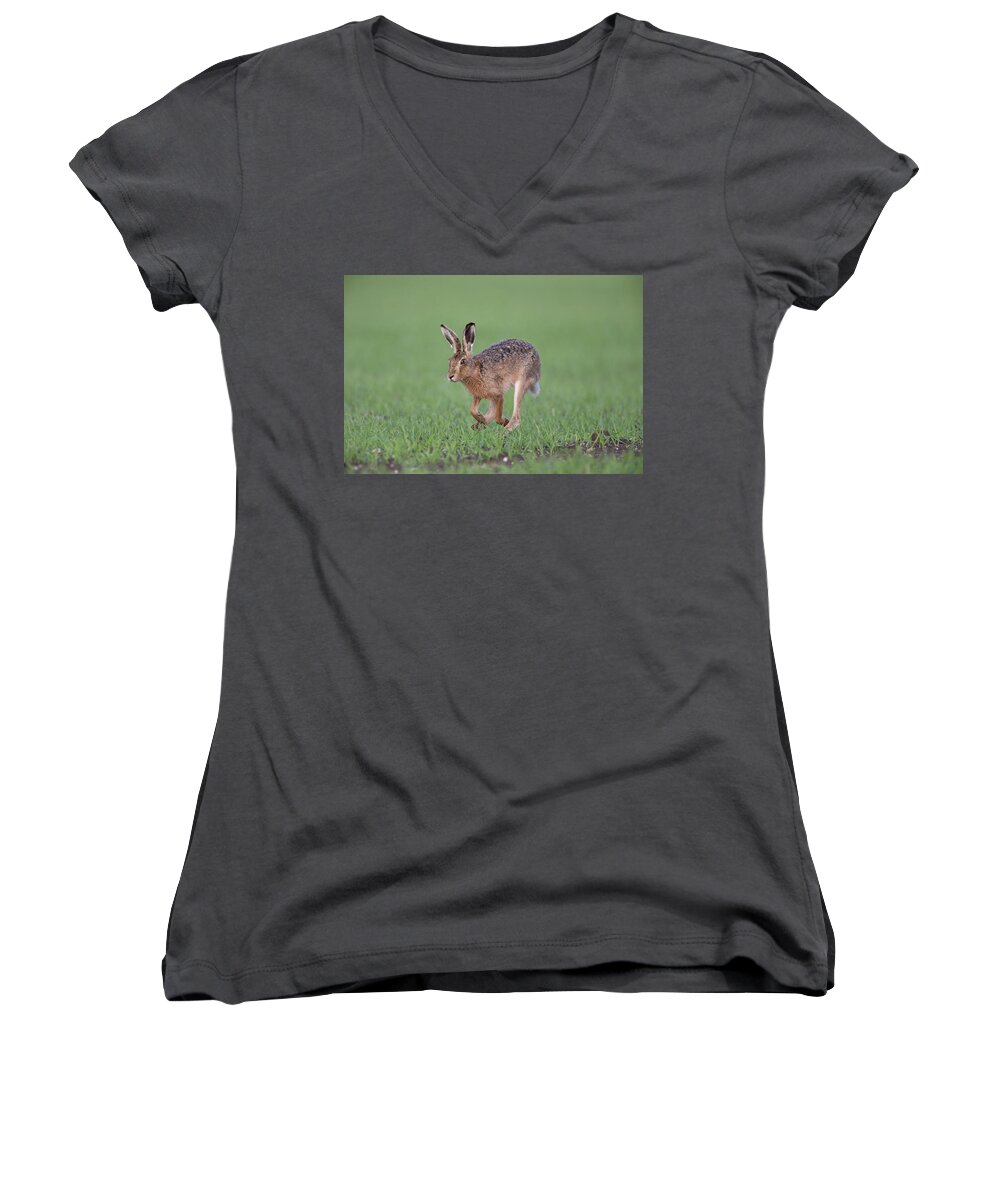 Brown Women's V-Neck featuring the photograph Brown Hare Running by Pete Walkden