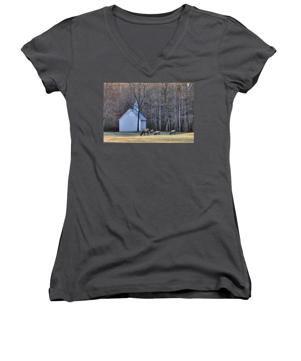 Cataloochee Women's V-Neck featuring the photograph Bull Elk Attending Palmer Chapel in the Great Smoky Mountains National Park by Carol Montoya
