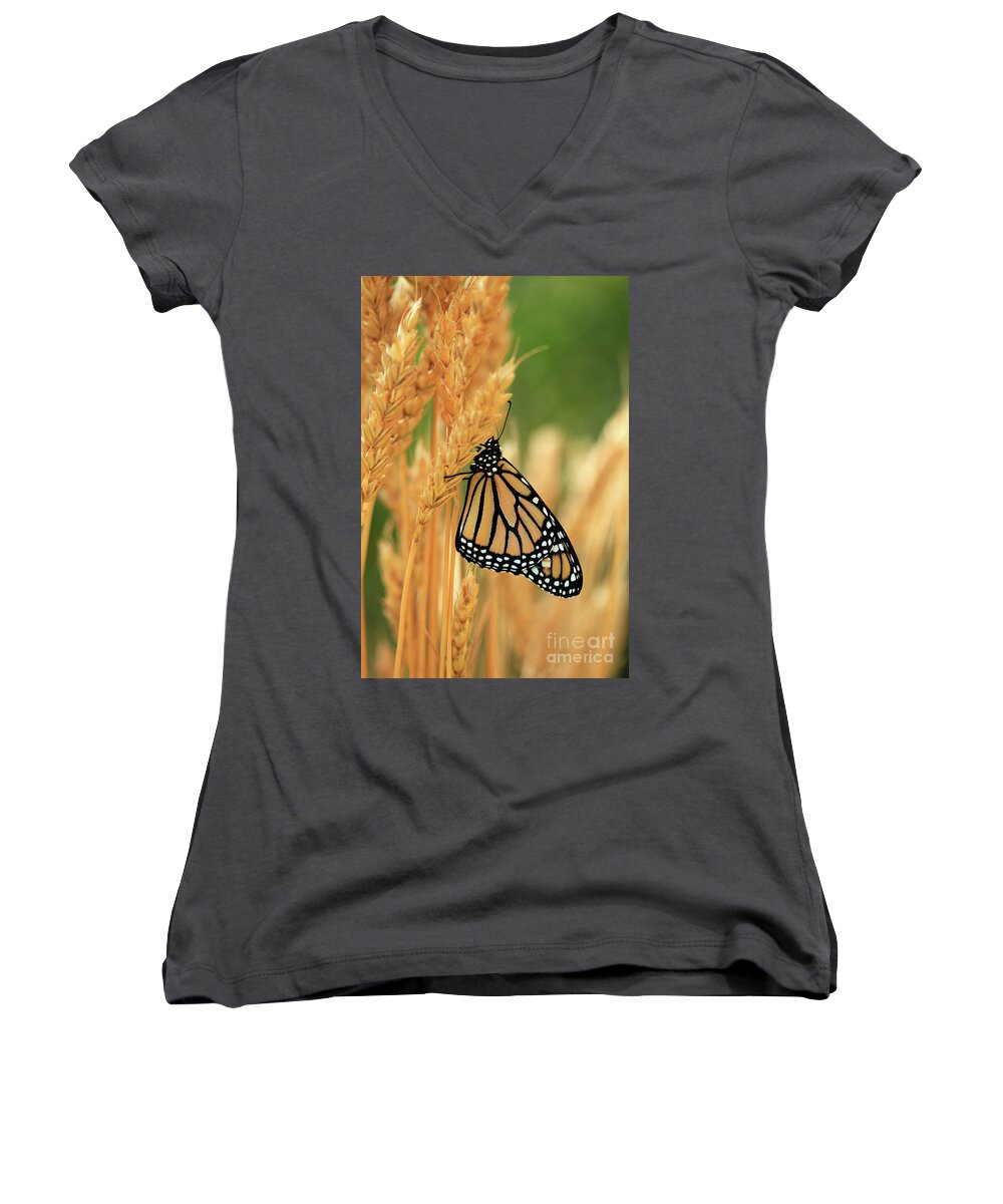 Wheat Field Women's V-Neck featuring the photograph Butterfly in Wheat Field Photo by Luana K Perez