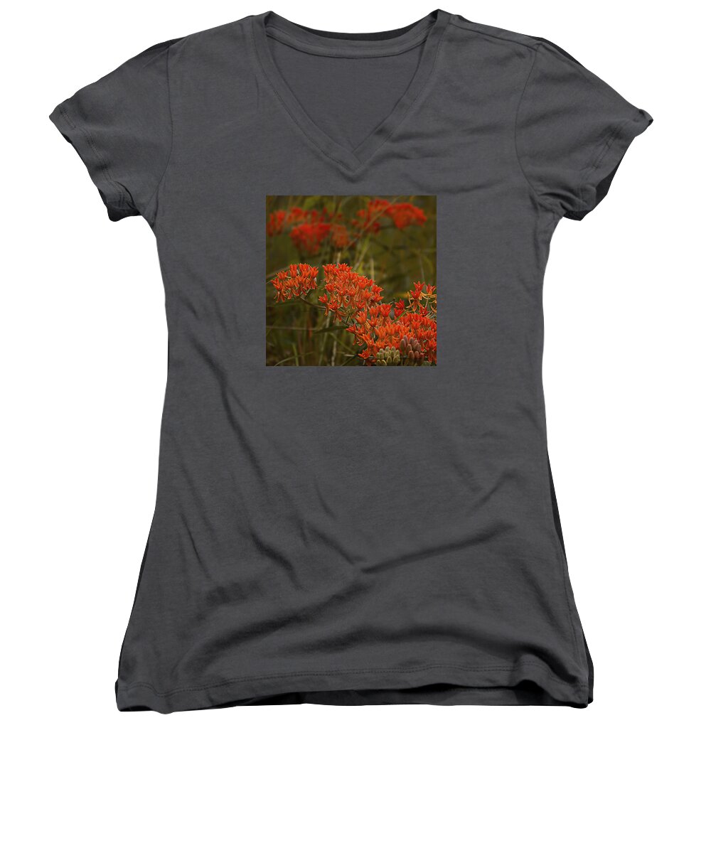 Butterfly Weed Asclepias Tuberosa Women's V-Neck featuring the photograph Butterfly Weed Asclepias Tuberosa by Bellesouth Studio
