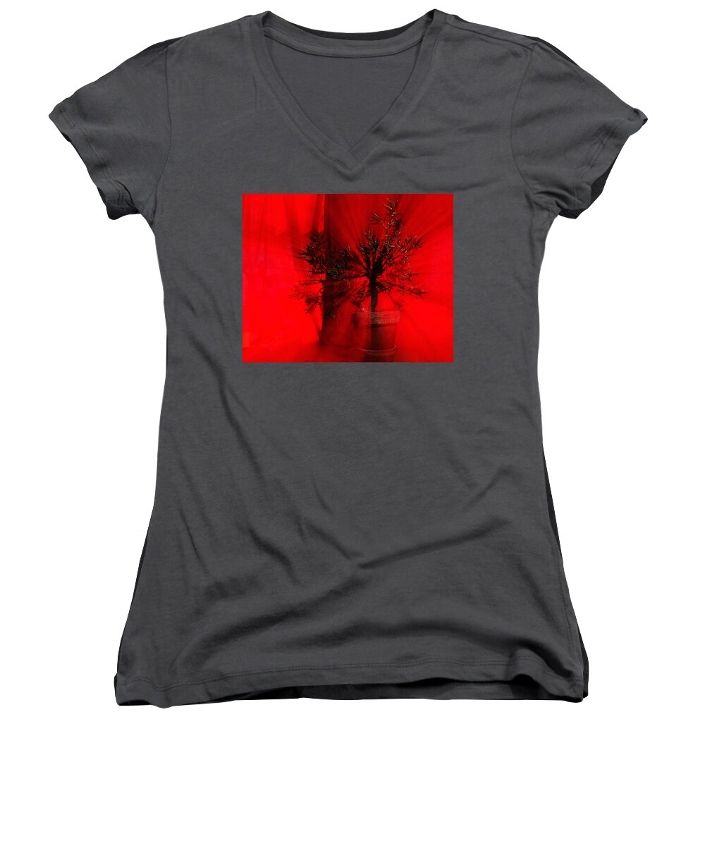 Abstract Women's V-Neck featuring the photograph Cabin Fever Dance by Sue Capuano