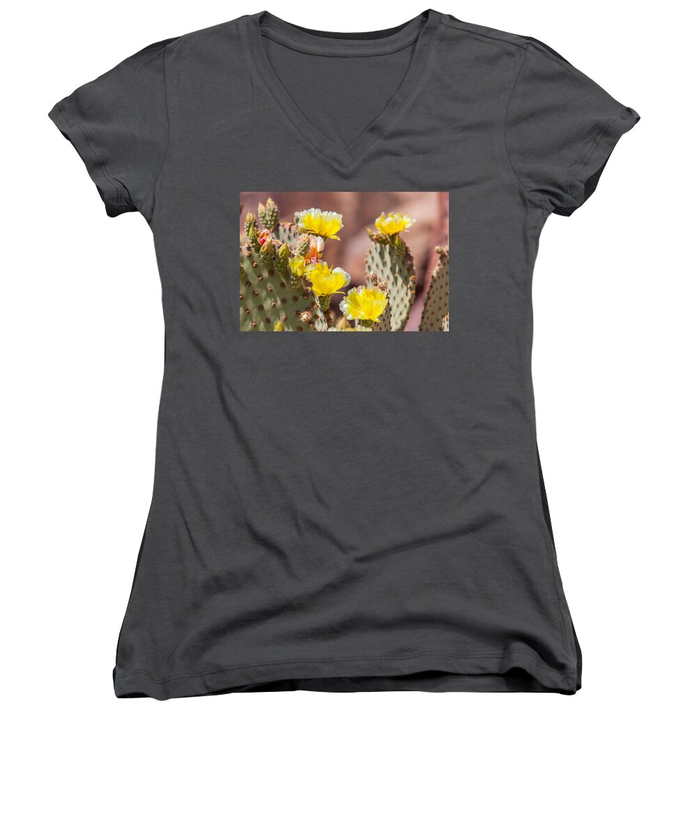 Texas Women's V-Neck featuring the photograph Cactus Flowers by SR Green