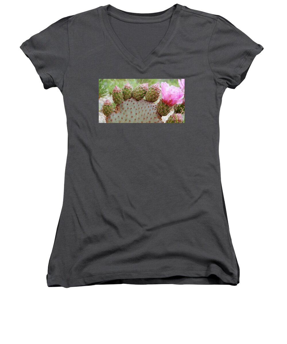 Cactus Women's V-Neck featuring the photograph Cactus Toes by Barbara Leigh Art