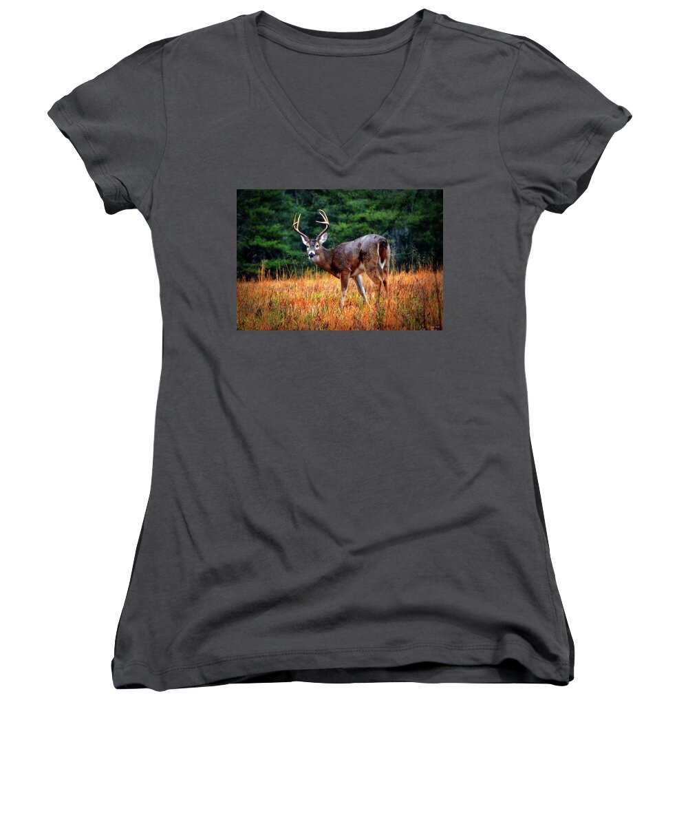Deer Women's V-Neck featuring the photograph Cades Cove - The Buck Stopped Here 002 by George Bostian