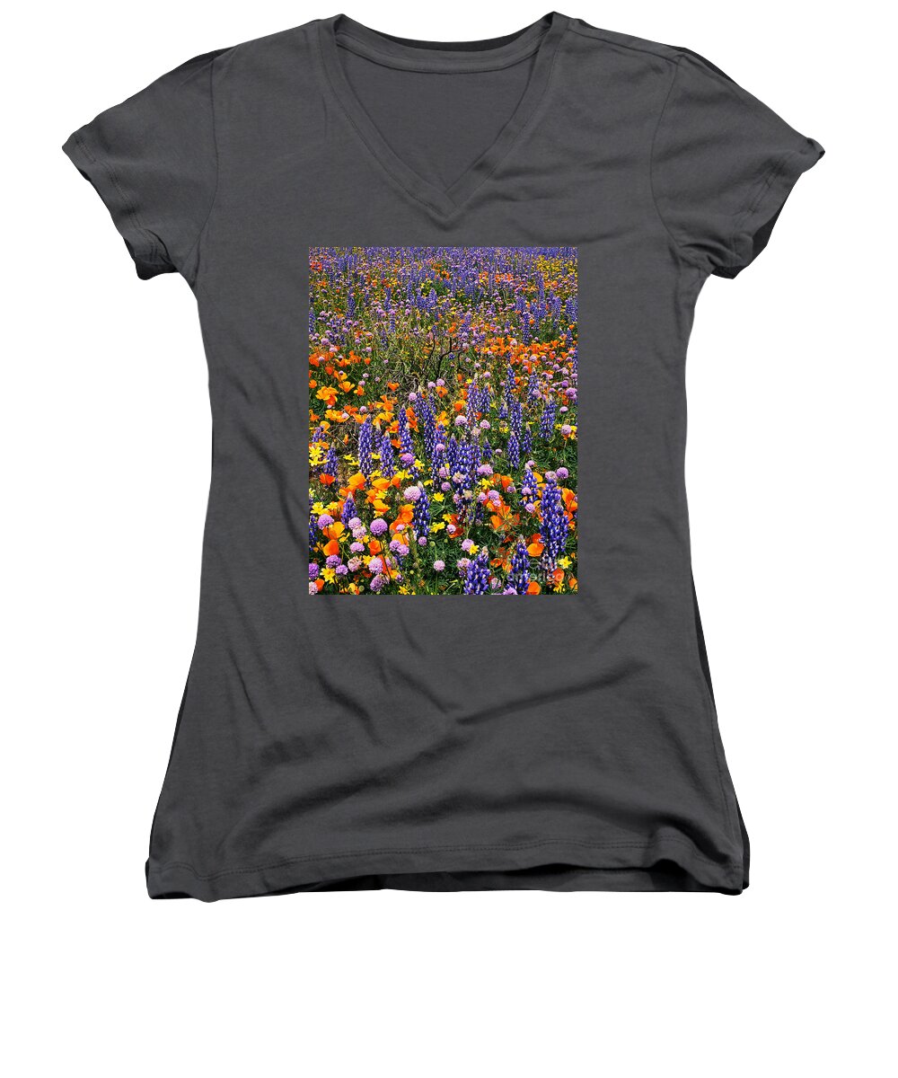 Dave Welling Women's V-Neck featuring the photograph California Poppies And Bentham Lupines In California by Dave Welling
