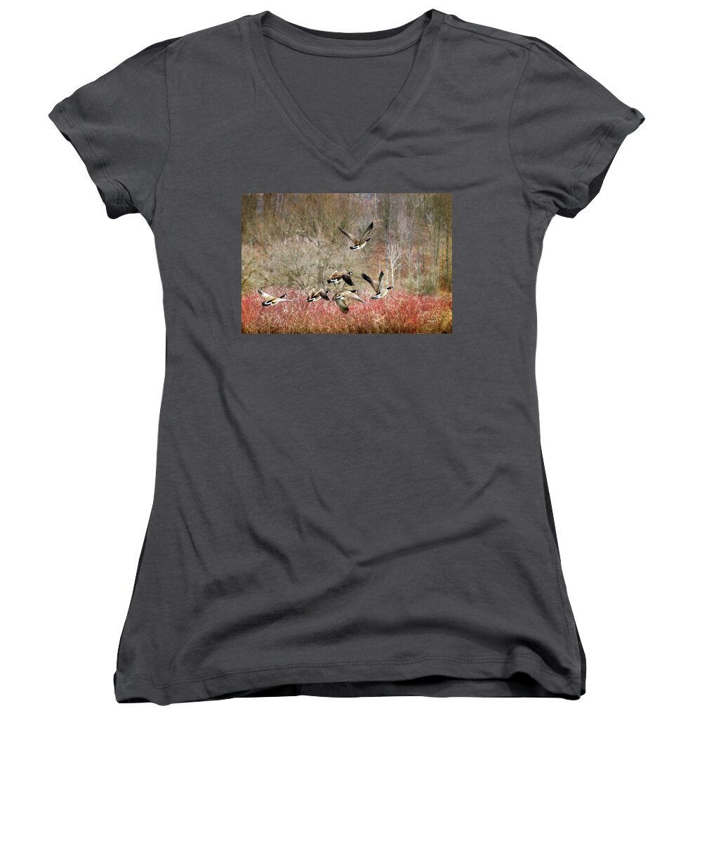 Canada Geese Women's V-Neck featuring the photograph Canada Geese In Flight by Christina Rollo