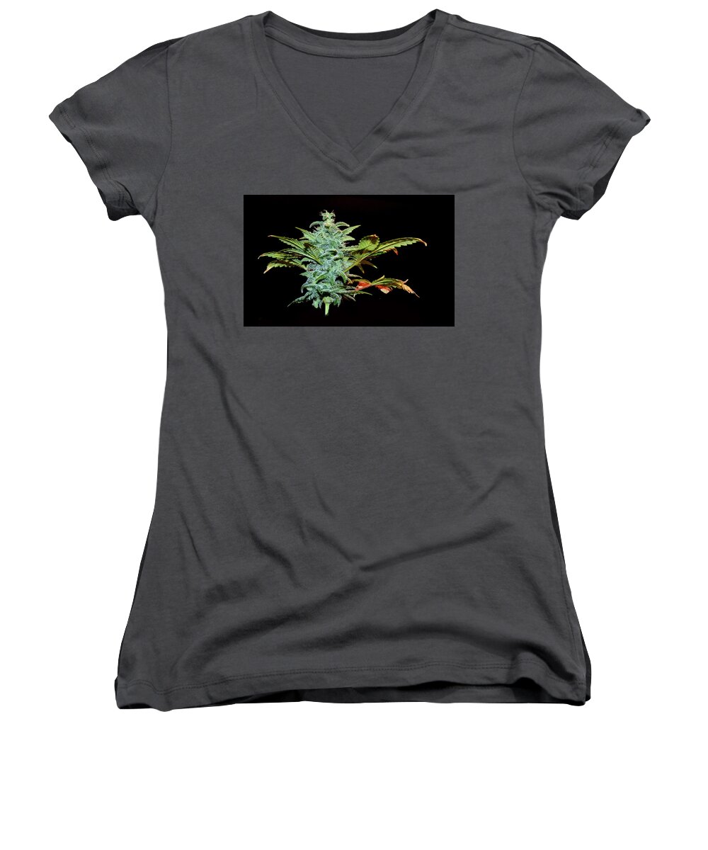 Weed Women's V-Neck featuring the photograph Weed by Stuart Harrison