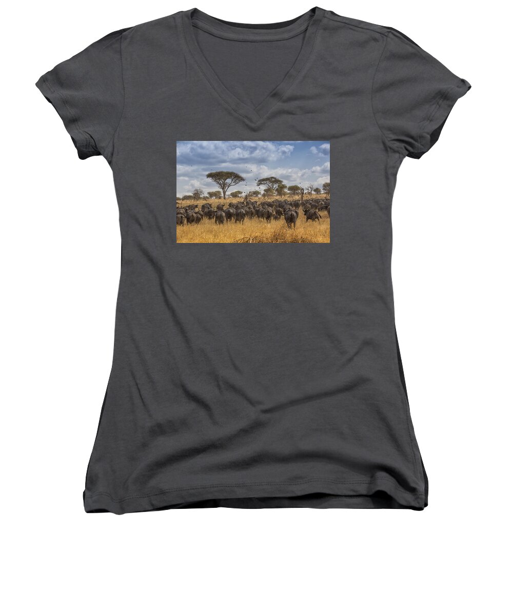 African Buffalo Women's V-Neck featuring the tapestry - textile Cape Buffalo Herd by Kathy Adams Clark