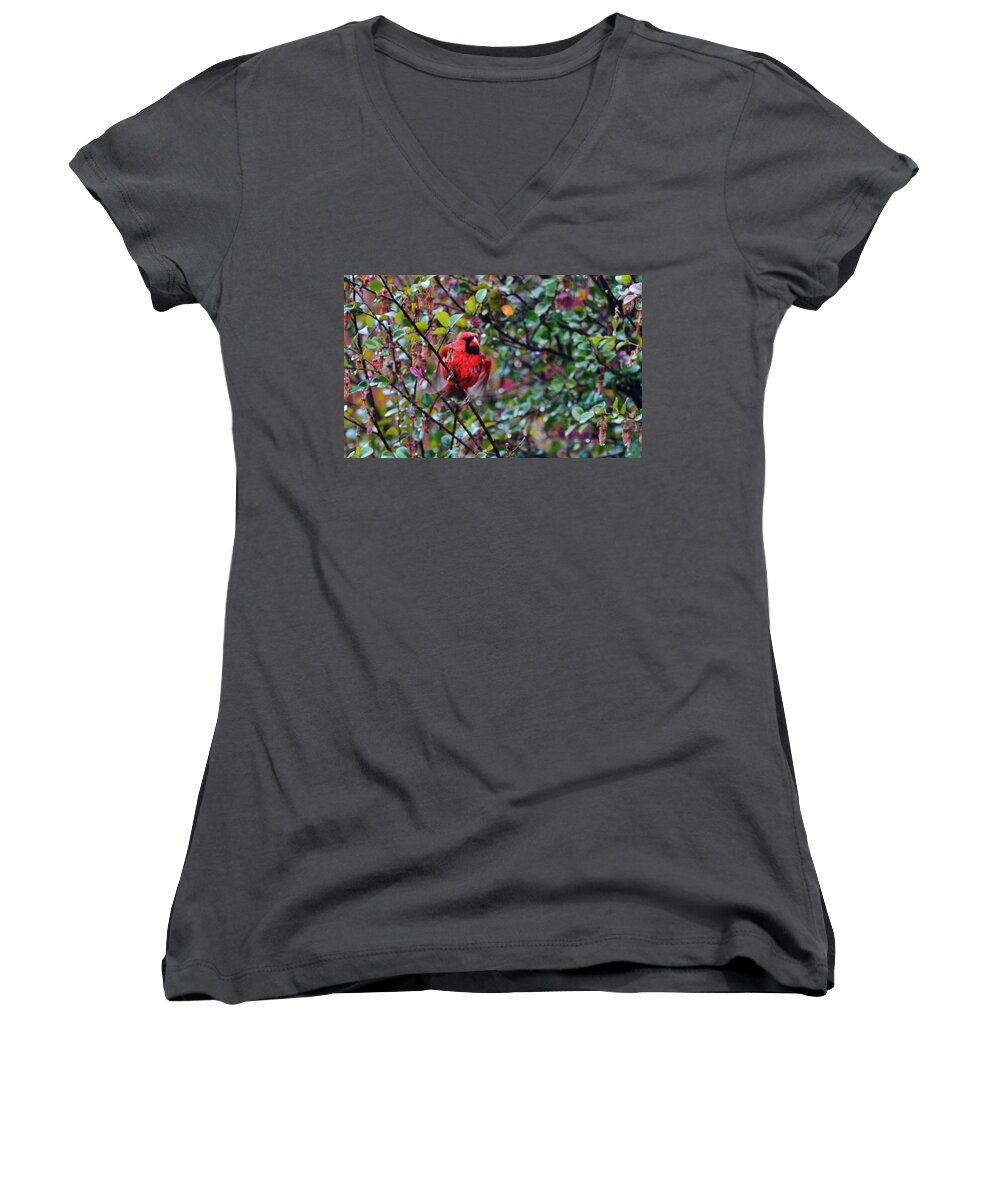 Cardinal Women's V-Neck featuring the photograph Cardinal Troy by Eileen Brymer
