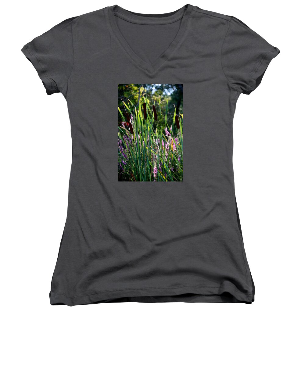 Cat Tails Women's V-Neck featuring the photograph Cat tails in the Morning by John Meader