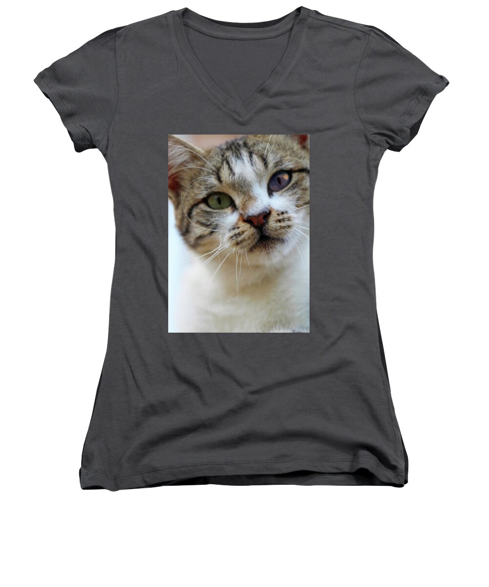 Cat Women's V-Neck featuring the photograph Changing Colors by Munir Alawi