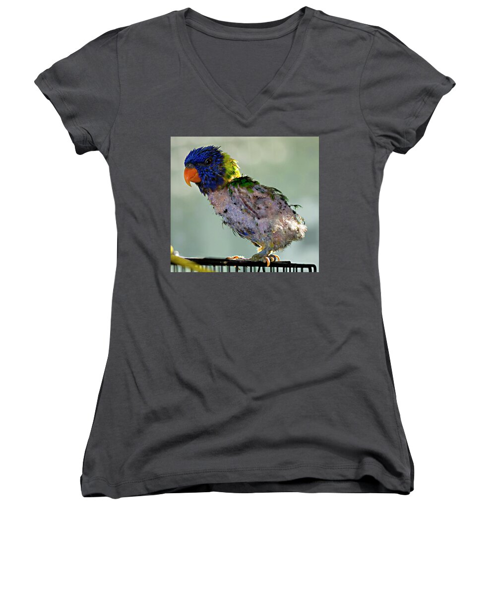 Bird Women's V-Neck featuring the photograph Charlie after a night out by Jeremy Holton