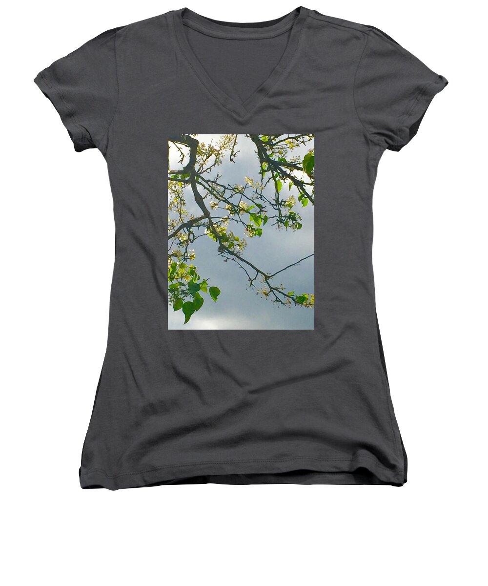 Nature Women's V-Neck featuring the photograph Cherry Tree Hack by Etta Harris