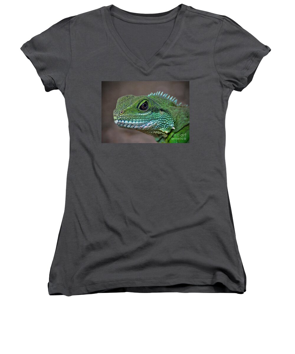 Chinese Women's V-Neck featuring the photograph Chinese Water Dragon by Savannah Gibbs