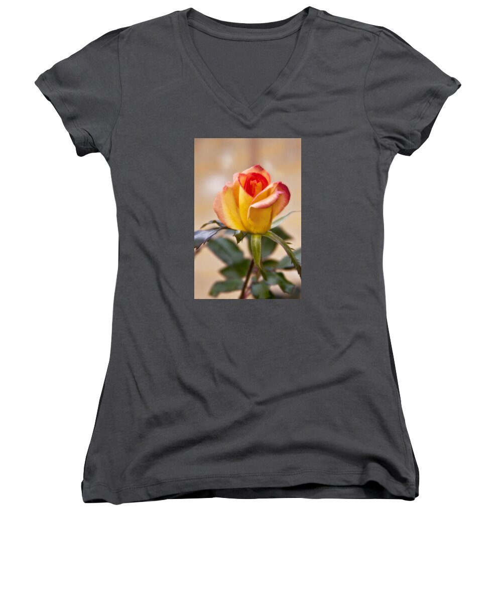 Rose Women's V-Neck featuring the photograph Christmas Rose by Joan Bertucci