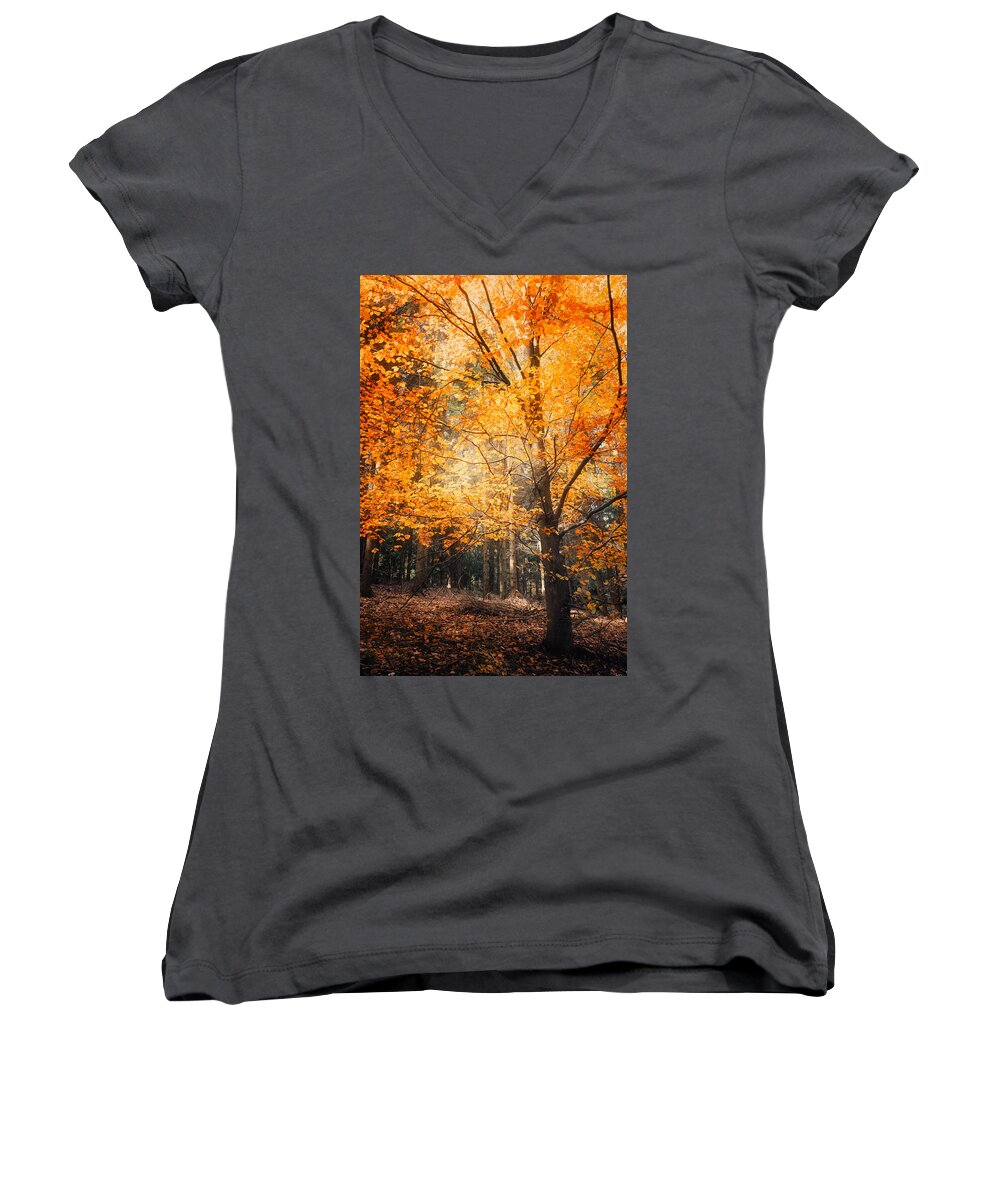 Trees Women's V-Neck featuring the photograph Circle of Life by Philippe Sainte-Laudy