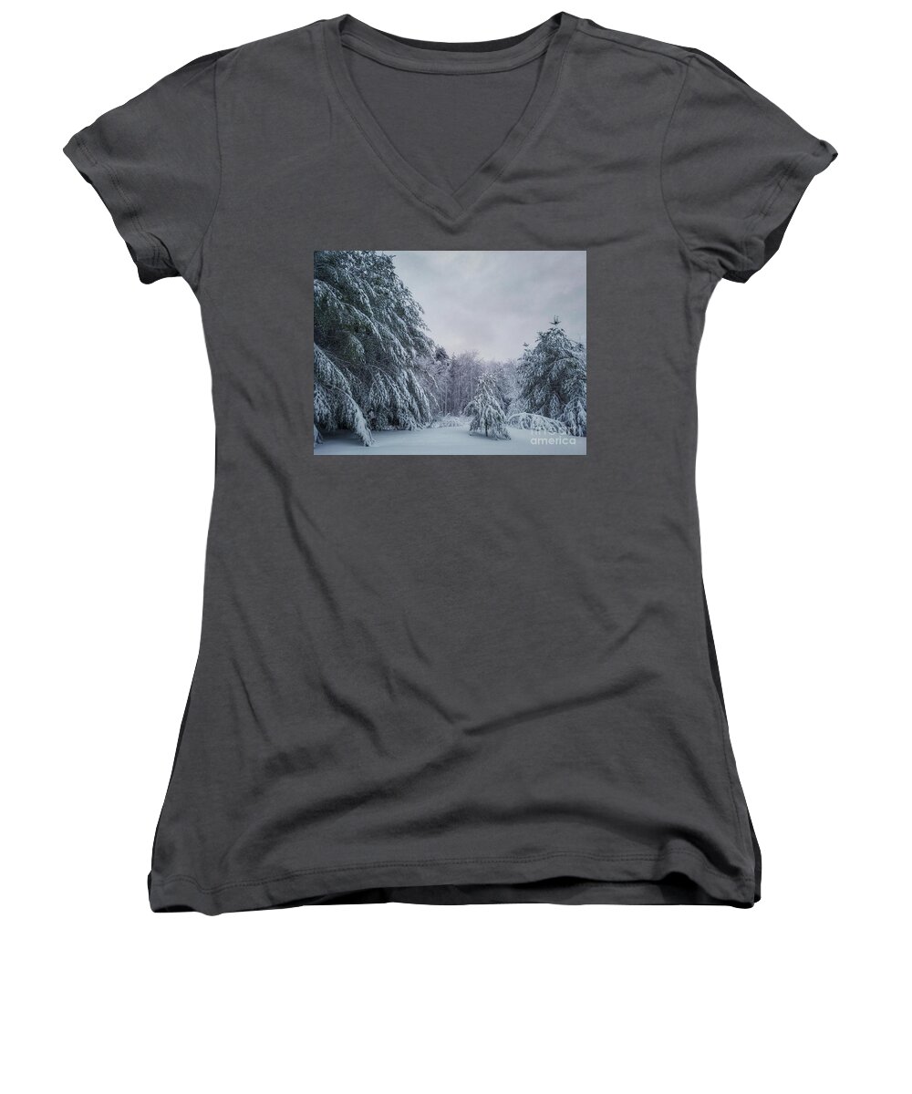 Landscape Women's V-Neck featuring the photograph Classic Winter Scene in New England by Mary Capriole