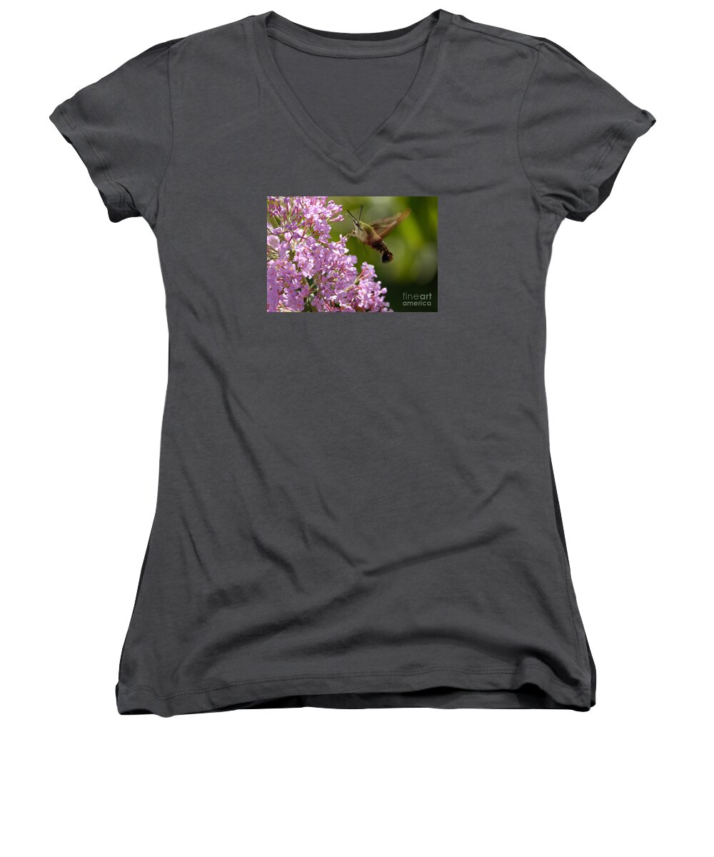 Hummingbird Clearwing Women's V-Neck featuring the photograph Clearwing Pink by Randy Bodkins