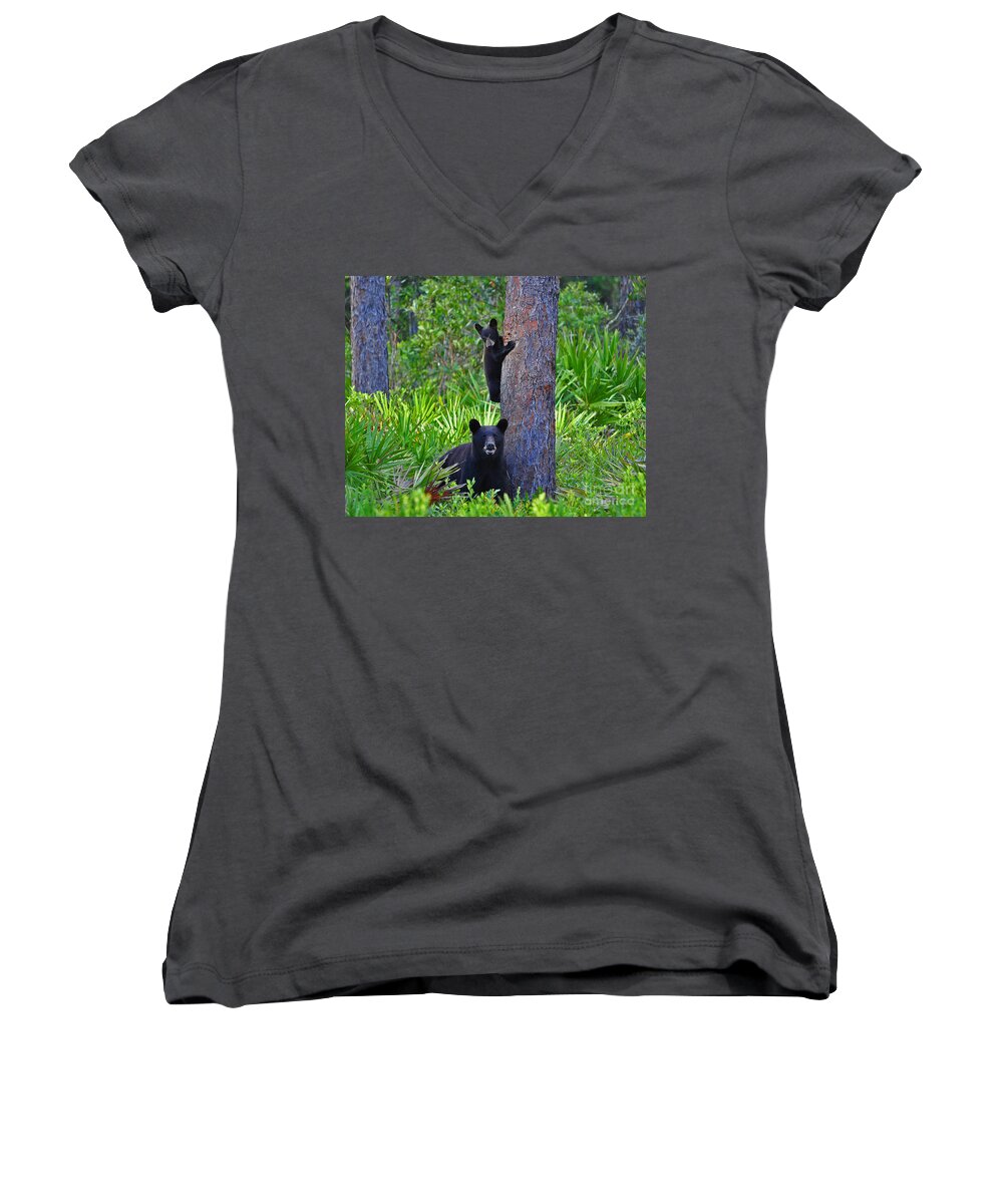 American Black Bear Women's V-Neck featuring the photograph Climbing Class by Al Powell Photography USA
