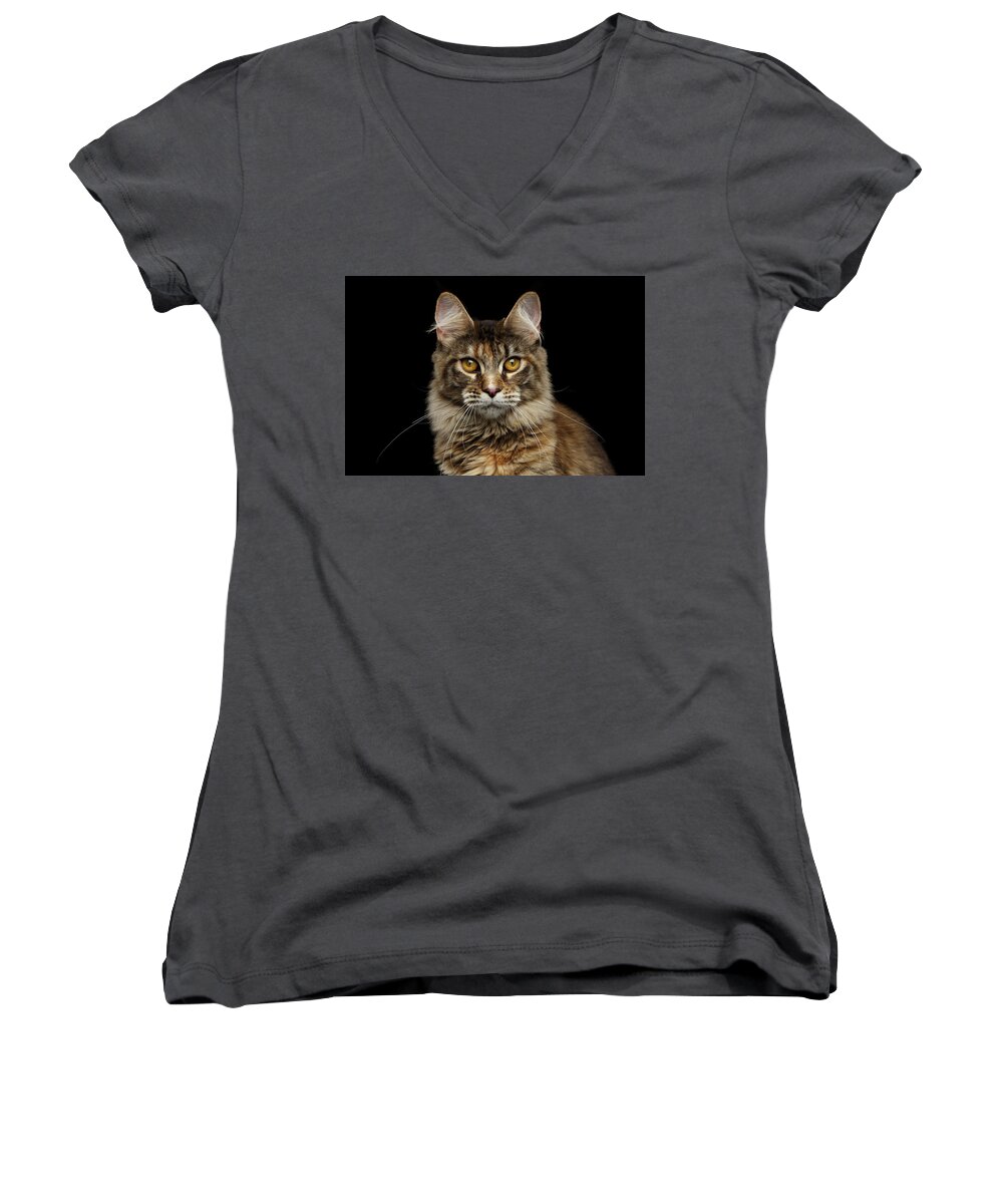 Cat Women's V-Neck featuring the photograph Closeup Maine Coon Cat Portrait Isolated on Black Background by Sergey Taran