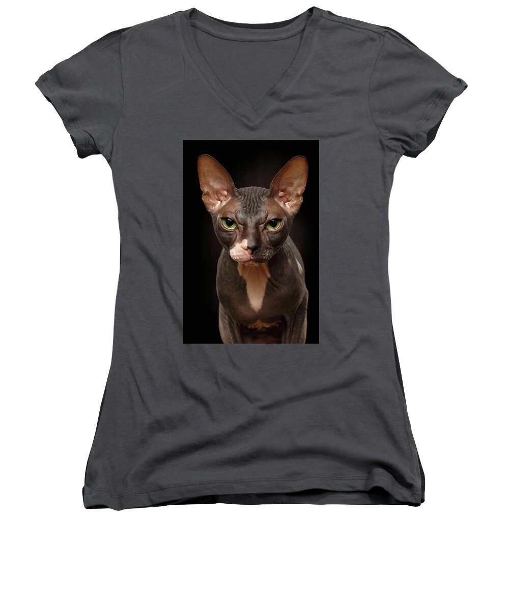 Pet Women's V-Neck featuring the photograph Closeup Portrait of Grumpy Sphynx Cat Front view on Black by Sergey Taran