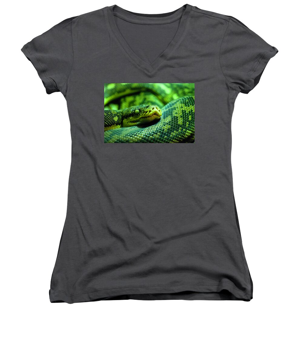 Photography Women's V-Neck featuring the photograph Coiled Calm by Kathleen Messmer