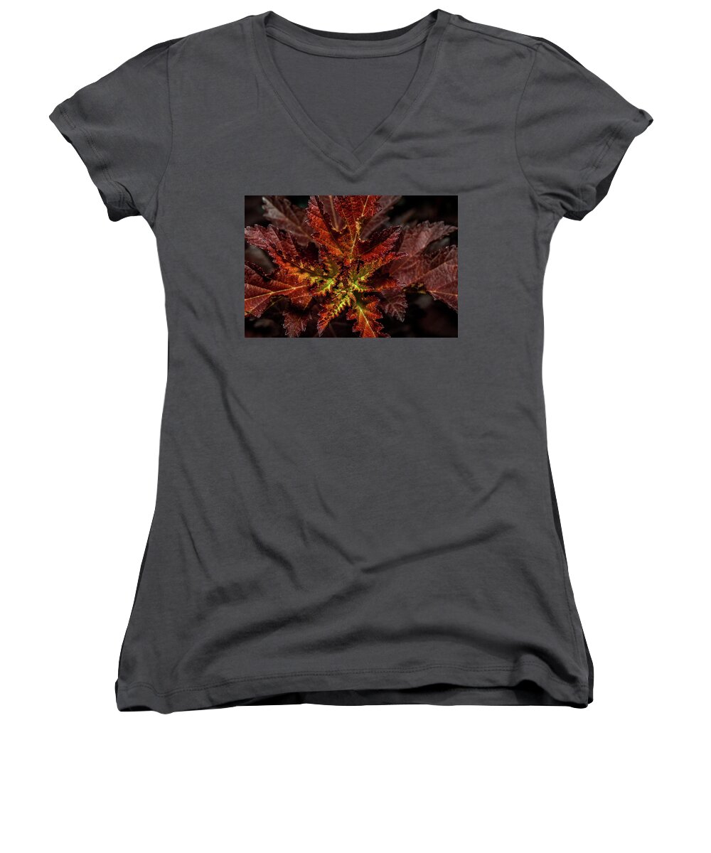 Fall Women's V-Neck featuring the photograph Colorful leaves by Paul Freidlund