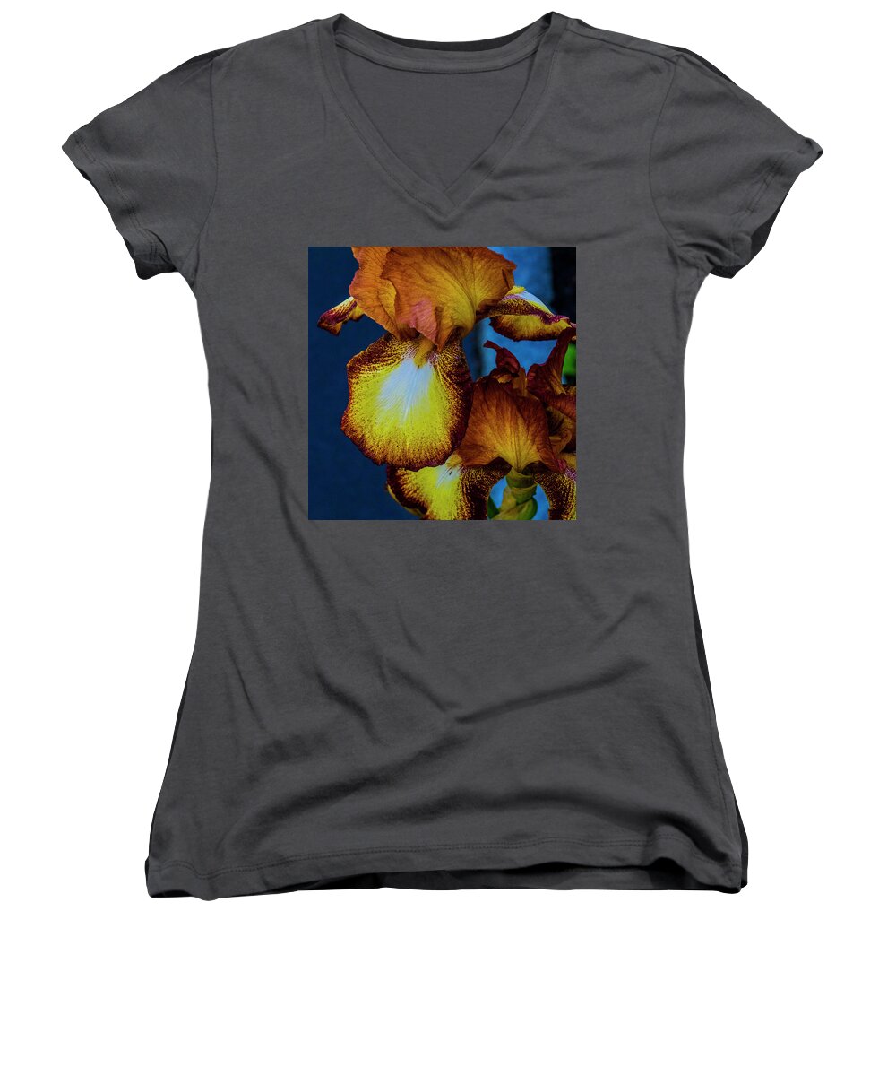 Flower Women's V-Neck featuring the photograph Colors of Iris by Paul Ross