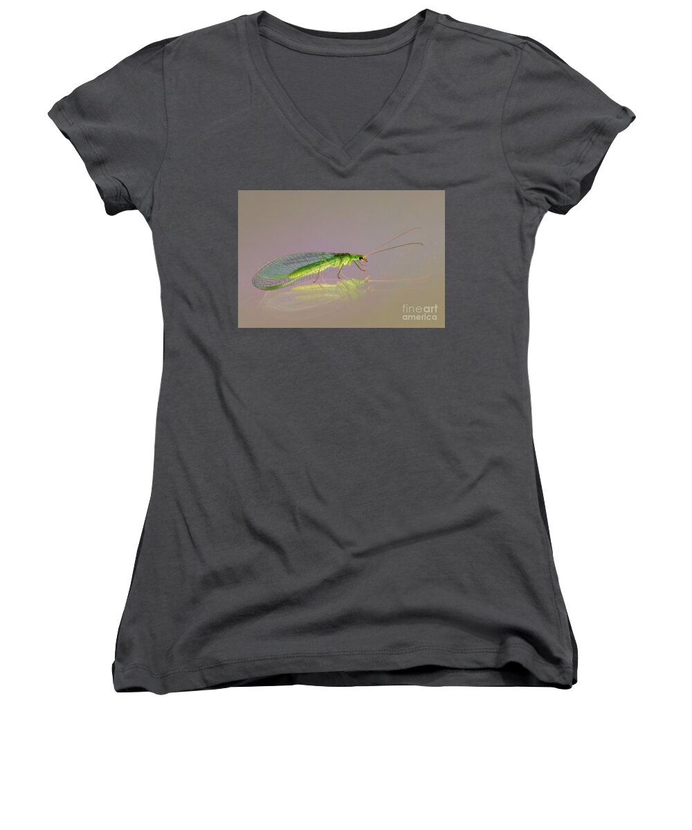 Animal Women's V-Neck featuring the photograph Common Green Lacewing - Chrysoperla carnea by Jivko Nakev