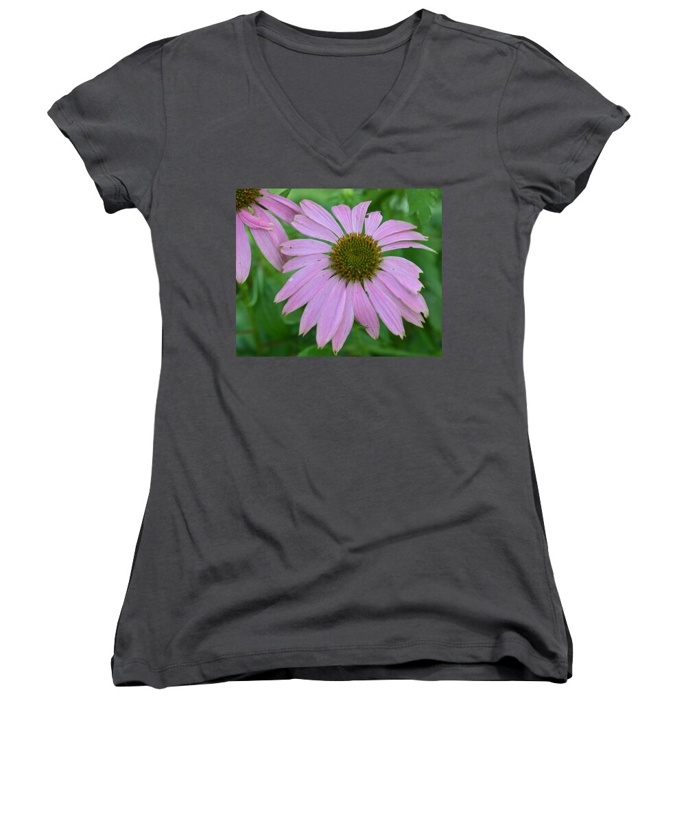 Flowers Women's V-Neck featuring the photograph Coneflower by Charles HALL