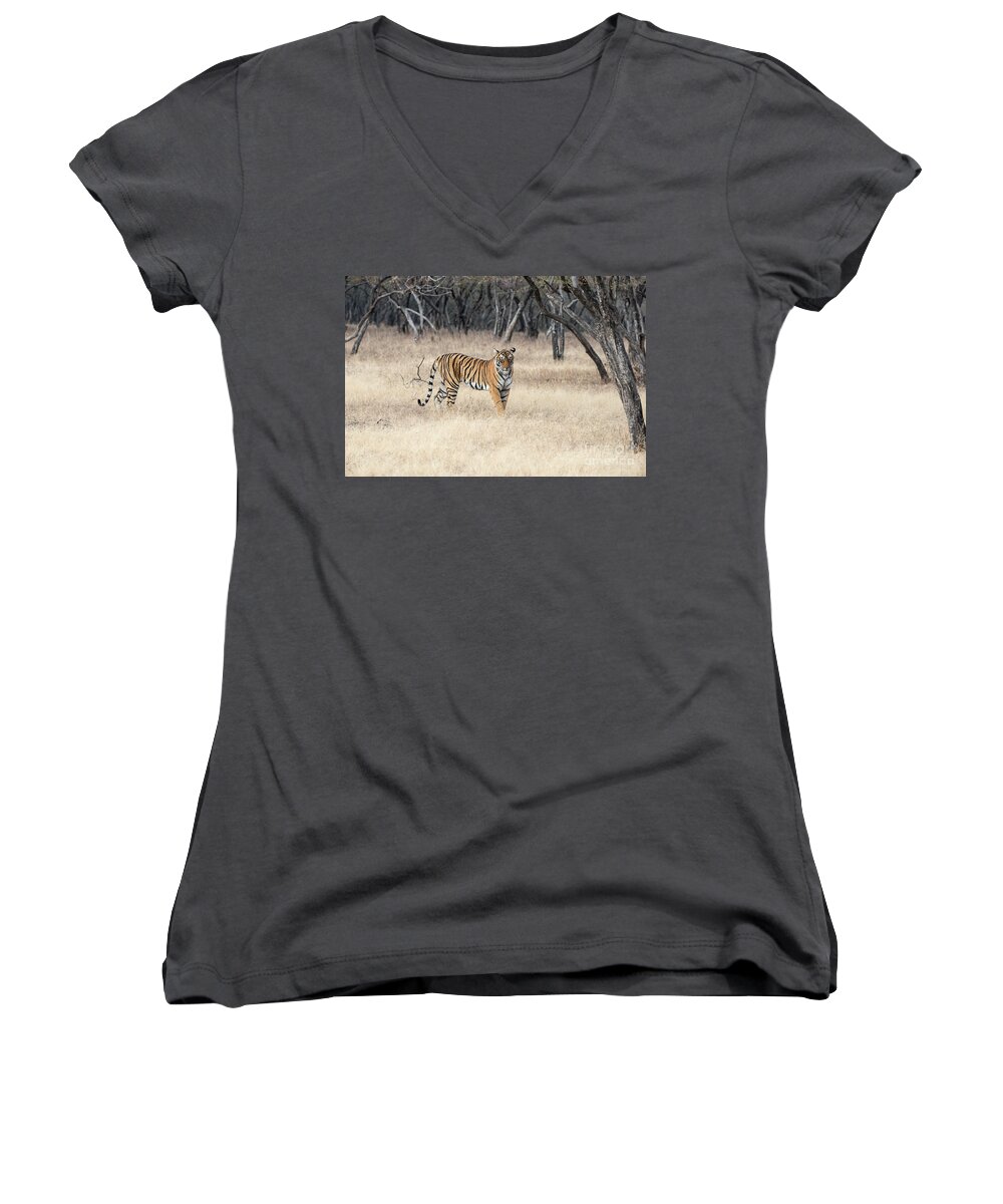 Tiger Women's V-Neck featuring the photograph Contemplation by Pravine Chester