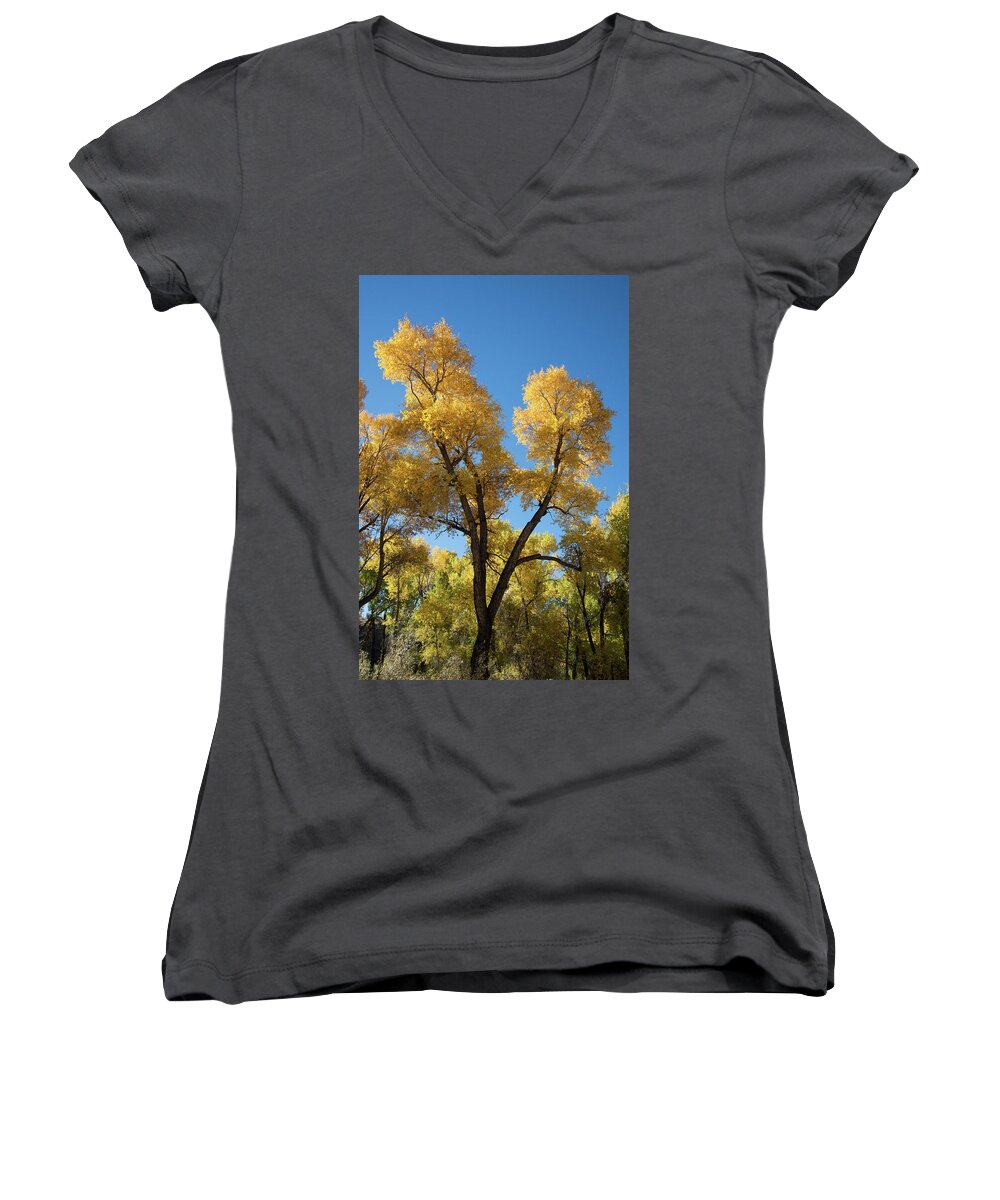 Cody Women's V-Neck featuring the photograph Cool, Crisp, Clean by Frank Madia