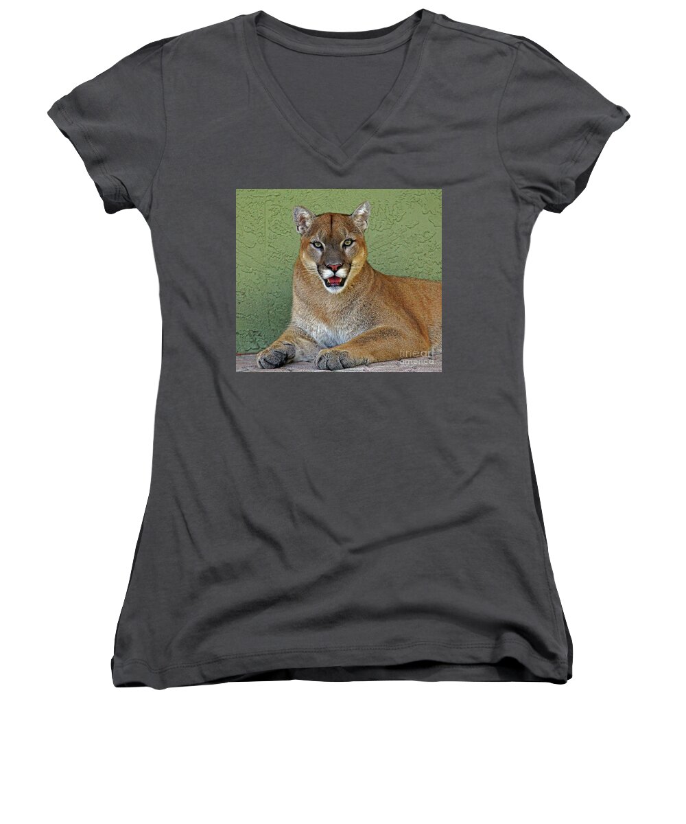 Cougar Women's V-Neck featuring the photograph Cougar by Larry Nieland