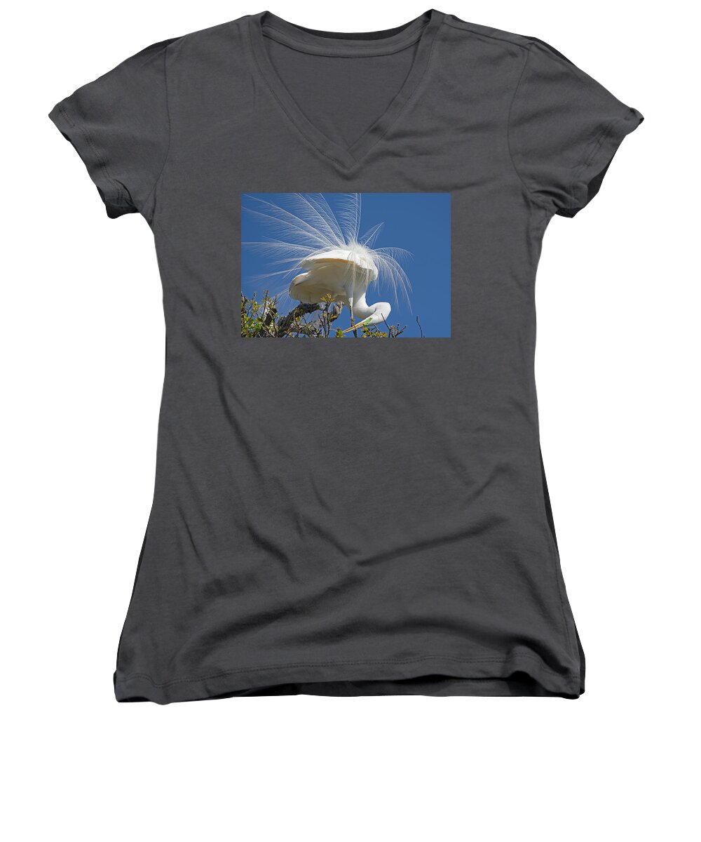 Wildlife Women's V-Neck featuring the photograph Courting Display by Kenneth Albin