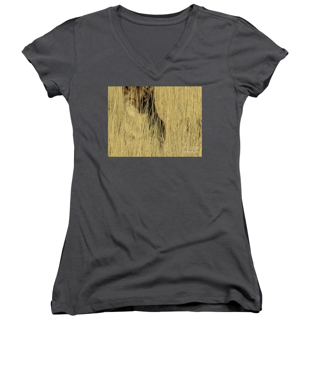 Coyote Women's V-Neck featuring the photograph Coyote 3 by Christy Garavetto
