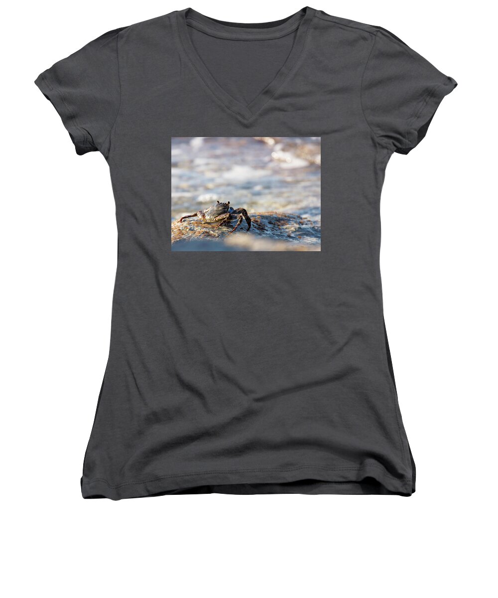 Crab Women's V-Neck featuring the photograph Crab Looking for Food by David Buhler